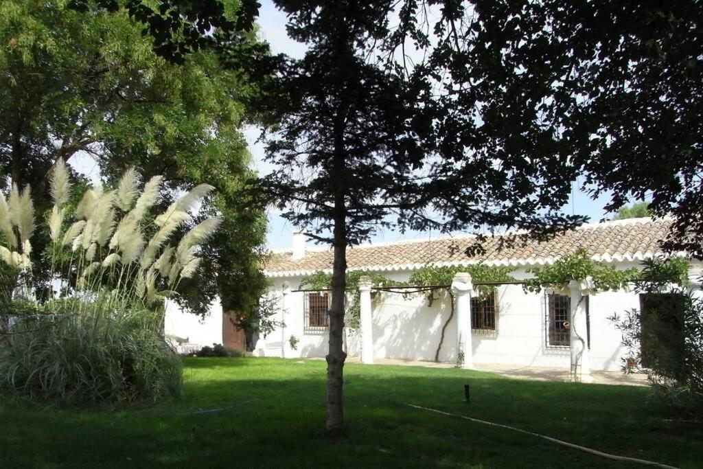 فيلا Casa El Carmen سيوداد ريال المظهر الخارجي الصورة
