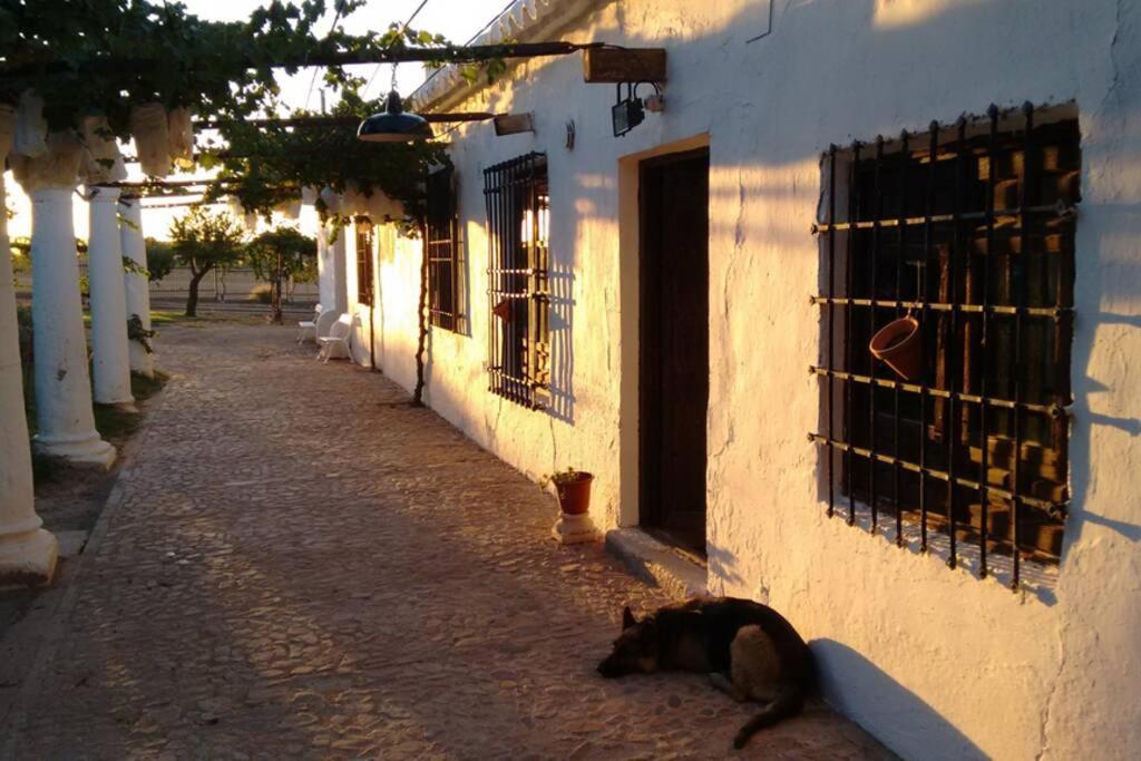 فيلا Casa El Carmen سيوداد ريال المظهر الخارجي الصورة