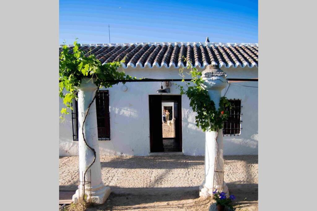 فيلا Casa El Carmen سيوداد ريال المظهر الخارجي الصورة