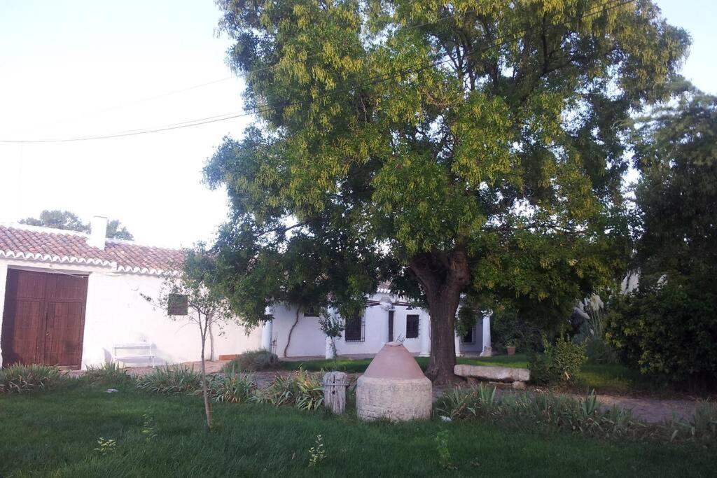 فيلا Casa El Carmen سيوداد ريال المظهر الخارجي الصورة